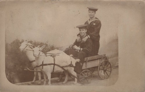 Sailors goat cart north - cart,
