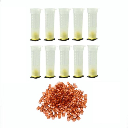 Queen rearing system - queen,