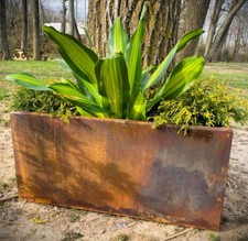 Metal Trough Planter 30" x 12"