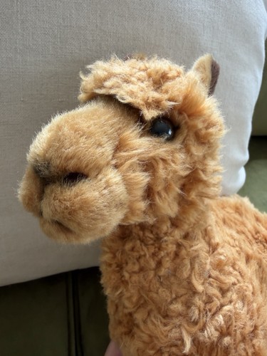 Ravensden soft toy - soft,