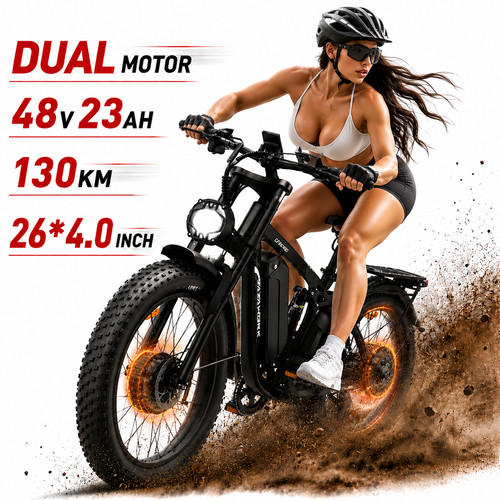 2ooo dual motor 48v - 2ooo, 23ah