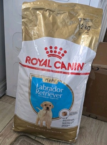 Royal canin labrador - canin®,