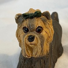 Small Dog Yorkshire Silky