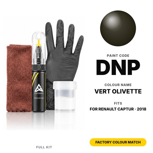 Touch paint for renault - up,
