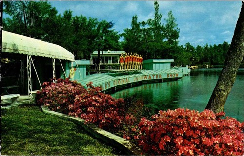 Weeki wachee postcard - wachee,