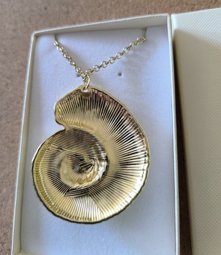 Nautilus ocean beach shell - ocean,
