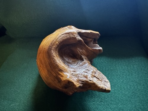 Driftwood by 6 - 6", 6"