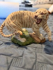 White Bengal Tiger, Great Cats