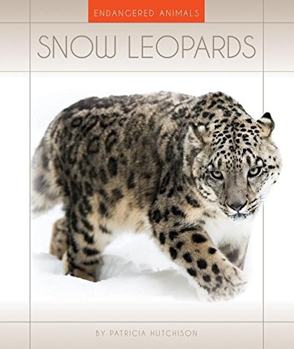 Snow leopards endangered - snow,