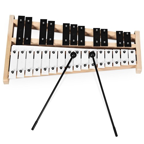 Costway notes glockenspiel - notes,