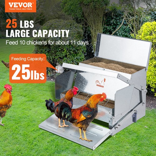 Automatic chicken feeder - automatic,