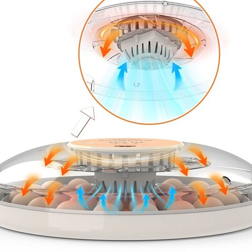 30x eggs incubator temperature - 30x,