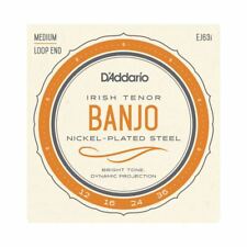 IRISH TENOR BANJO STRINGS D'ADDARIO EJ63I NICKEL PLATED STEEL - 12-36 - LOOP END