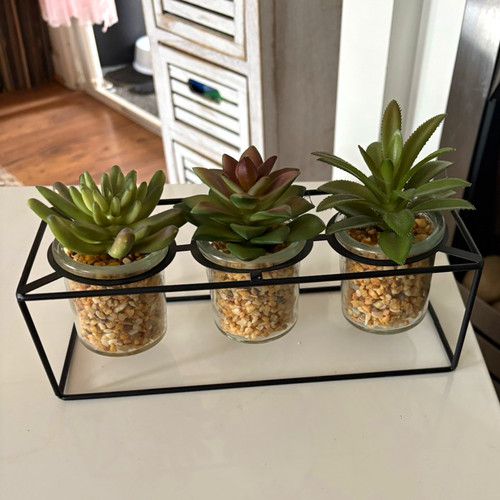 Artificial succulent - artificial,