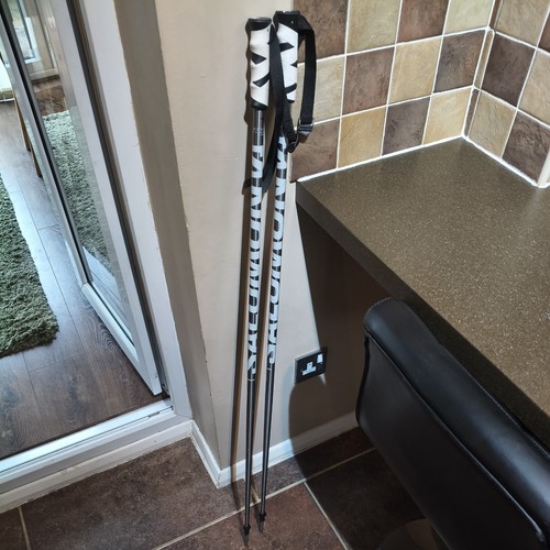 Salomon ski poles - ski,