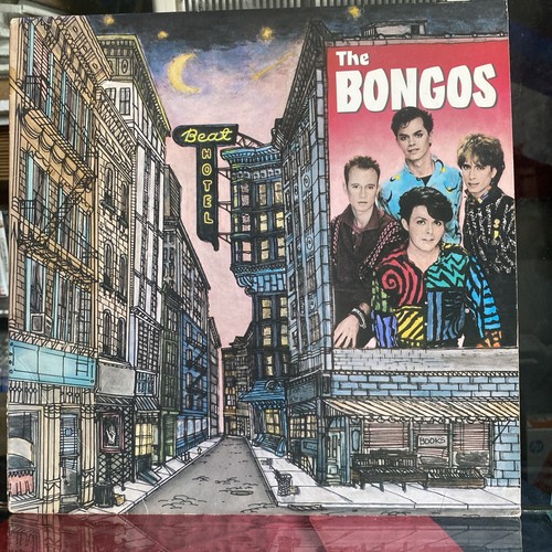 The bongos - 🏳️‍🌈,