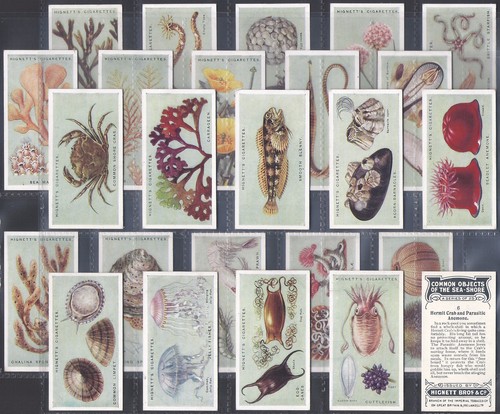Hignett full set common - hignett-full, set-