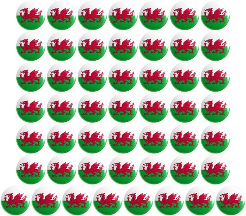 Wales flag button pin - wales,