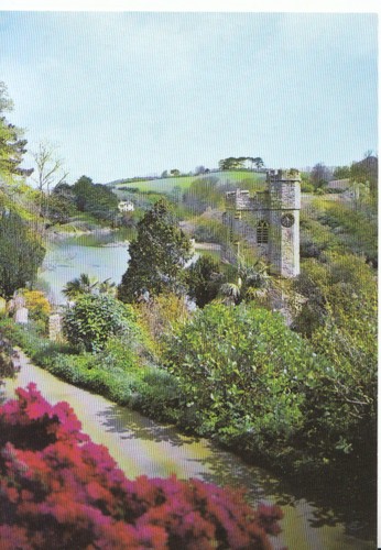 Cornwall postcard just in - -,