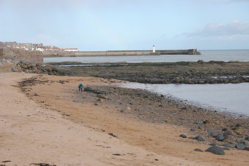 Photo 6x4 anstruther harbour - photo,