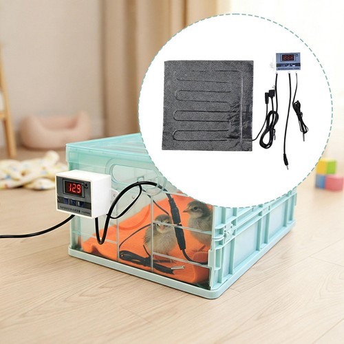 Bird brooder box poultry - brooder,