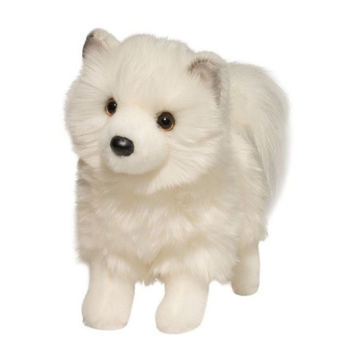 Douglas phoebe pomsky - douglas, dog