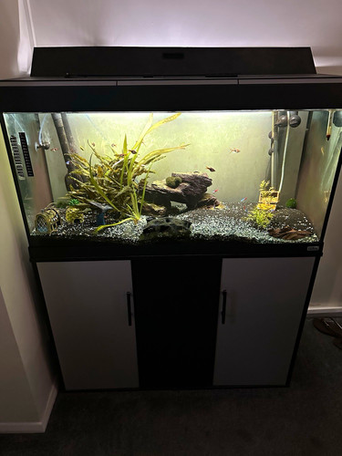 Fluval roma 240 245l glass - fluval,