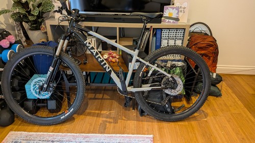 Marin bobcat trail 5 - bobcat,