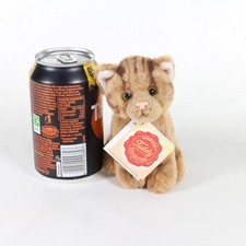 Ginger Tabby Cat by Teddy