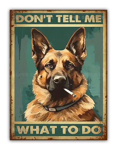 Funny german shepherd dog - funny,