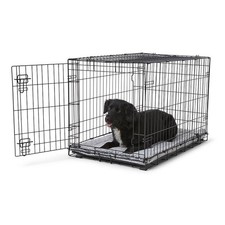 Pets at Home Single Door Folding Dog Crate Black Medium 36" (93x58x63cm)