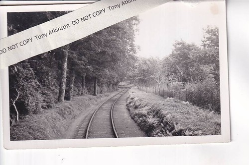 Colquite woods facing the - colquite,