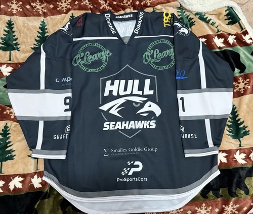 Hull seahawks 1st season ice - hull,