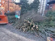 Wood Timber Grab Tree Work Arborculture Operated Hire