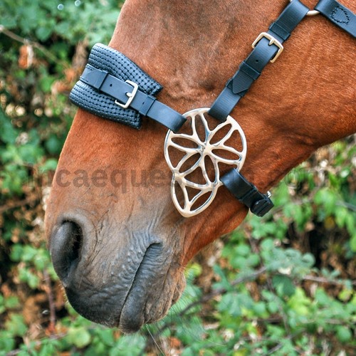 Lily flower hackamore bitless - lily,