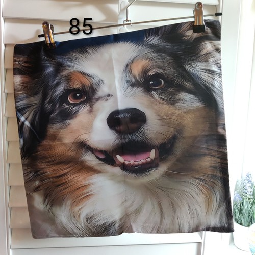 Australian shepherd soft - australian,