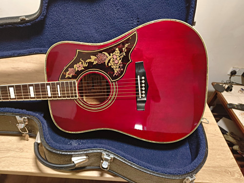 Stunning rare ibanez f310 - rare, cw