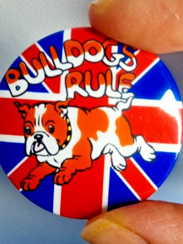 English bulldog badge with