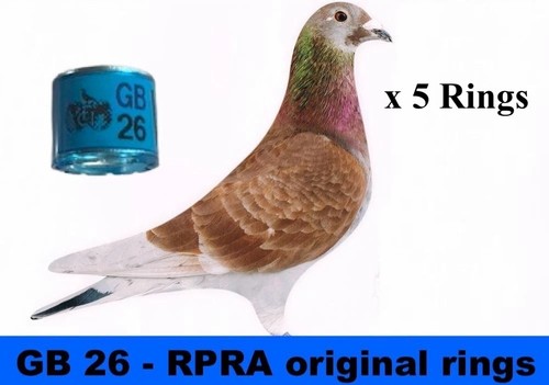 Rpra racing pigeons rings - rpra, gb