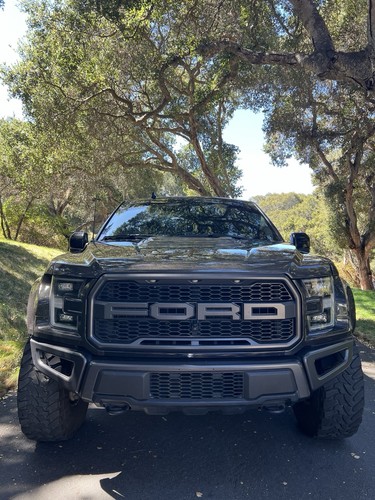 2019 ford 150 raptor - 2019,