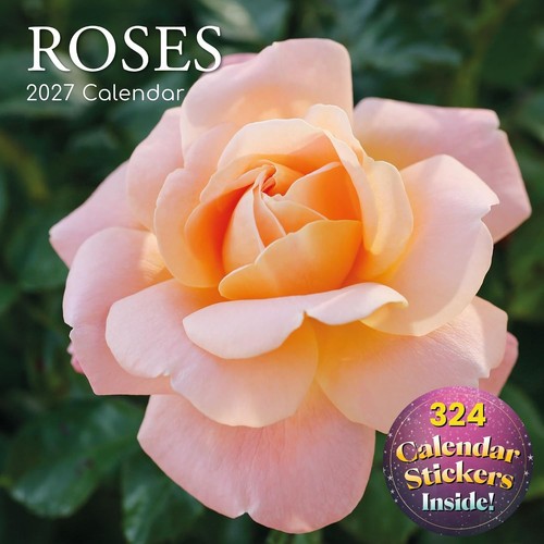 2027 square wall calendar - 2027,