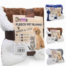 Pet animal cat dog car - pet,