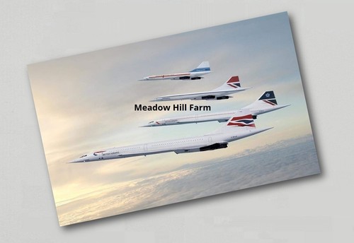 Fridge magnet concorde - fridge,