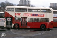 Bus Photo - SUT Sheffield