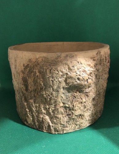 Vintage planter tree trunk - tree,