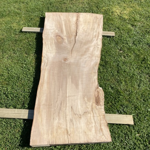 Large beech slab - large,