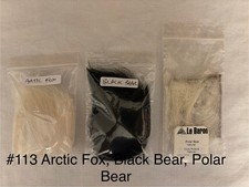 Polar Bear, Black Bear and Arctic Fox