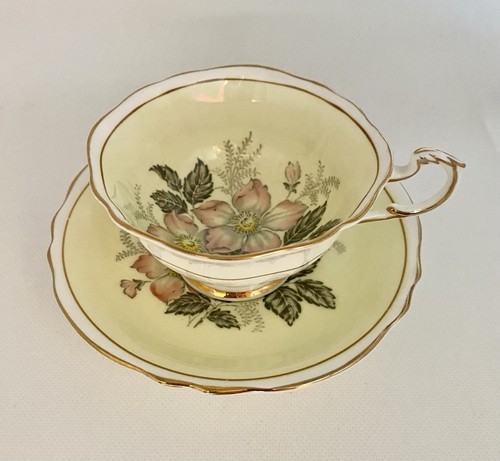 Paragon dogwood tea cup - dogwood,