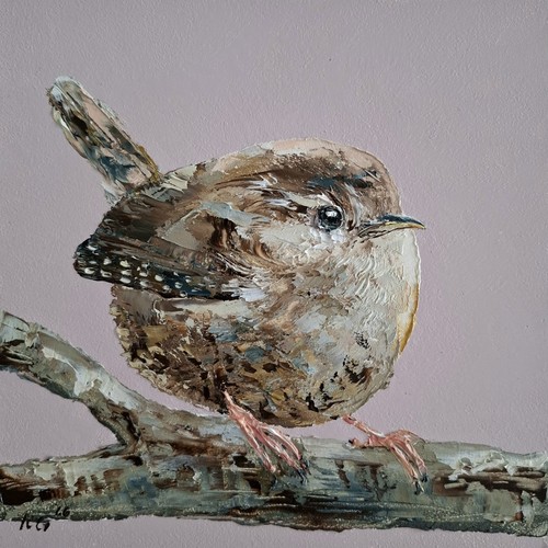 Wren portrait fine - portrait,,