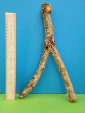 Cork bark branch 38cm - cork,